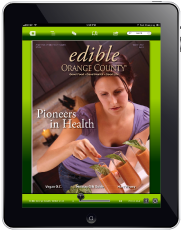 ipad4.png